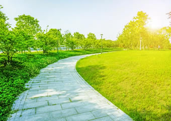 http://www.www.jia20.com